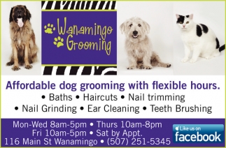 affordable dog grooming